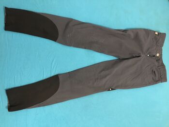 Equiline Reithose grau 36, Equiline , Selina, Breeches & Jodhpurs, Eimeldingen 