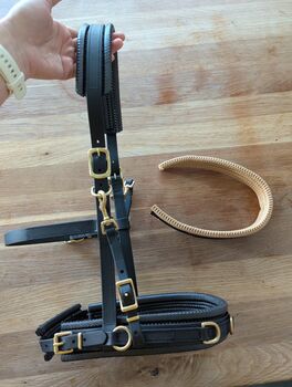 Equimero Equizaum Multifunktions-Kappzaum, Equimero  Equizaum , Nina, Bitless Bridles, Haar