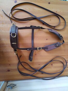 Kappzaum von Equimero mit Zügel, Simone Link, Bitless Bridles, Ettlingen