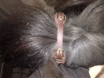 Equimero Trense Emilia, Equimero Emilia (jetzt Western Bausatz), Kathy, Bridles & Headstalls, Hamburg