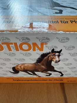 Equimotion von Nutri Labs Nutri Labs Zusatzfutter 