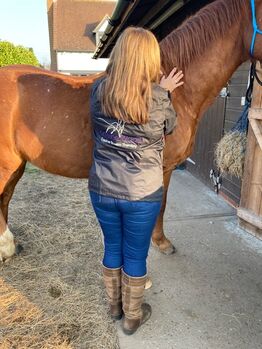 Equine Bowen Therapy in Kent & surrounding counties, Lorraine, Terapia i leczenie, GILLINGHAM