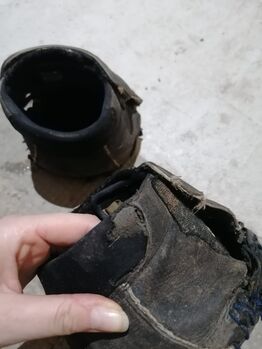 Equine Fusion All Terrain Gr 14 gebraucht Equine Fusion Jogging Shoe All Terrain