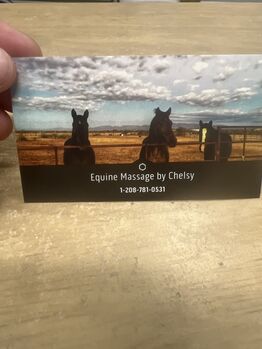Equine Massage, Chelsy, Therapie & Behandlung, Greenwood