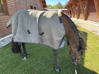 Abschwitzdecke Equine-Microtec mit Halsteil, silber, 145 cm Equine Microtec