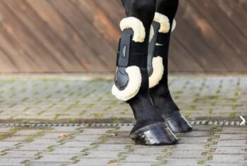 Equine Microtec Hartschalen Gamaschen Fell WB, Equine Microtec, Anna, Tendon Boots, Loßburg