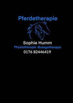 Pferdetherapie Sophie Humm, Sophie humm, Therapy & Treatment, Langelsheim