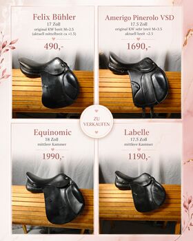 Equinomic Amerigo Pinerolo LaBelle Felix Bühler Sattel, Equinomic Amerigo Pinerolo LaBelle Felix Bühler Equinomic Amerigo Pinerolo LaBelle Felix Bühler Sattel, Nadine Semrau, Springsattel, Kreuzlingen