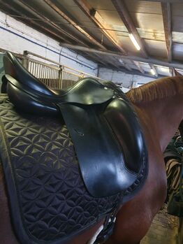 Equipe Emporio Dressursattel, Equipe Emporio, Heinke Kohfahl, Dressage Saddle, Bad Bramstedt