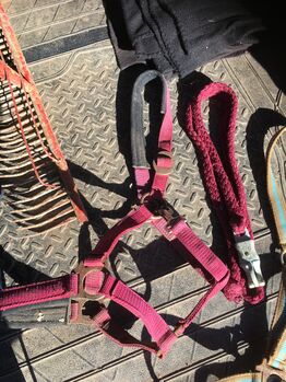 Ausstattung für dein🐴 Pferd 🐴, Miky Maus, Horse Blankets, Sheets & Coolers, Sylt