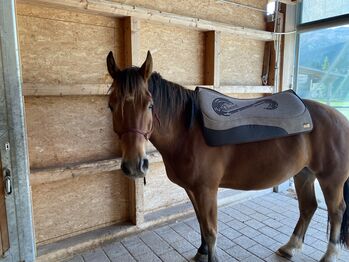 Equitex Westernpad Equitex