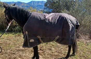Equithème Winter-Decke, Equithème "Equithème, Tyrex 1200, Lena Kuder, Horse Blankets, Sheets & Coolers, Gaucin
