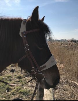 Equitrense Classic von Equimero - neu - mittelbraun Equimero Equitrense Classic