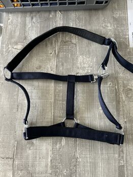 Equiva Halfter in Dunkelblau, Größe COB, neu, Equiva, Lisa, Halters, Frickenhausen
