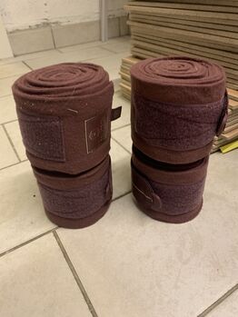 Eskadron Bandage in Pony Eskadron