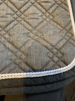 Eskadron Brillant Warmblut Dressur DL Eskadron  Brillant DL