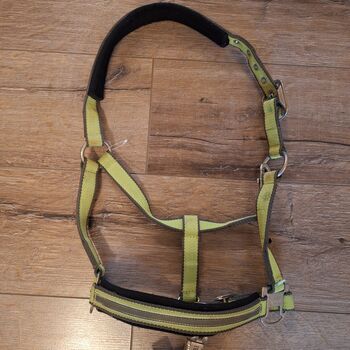 Eskadron Halfter mit Führstrick Kiwi Vollblut Eskadron 