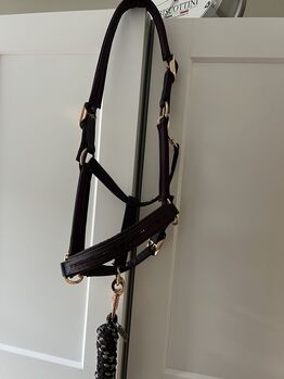 Eskadron Halfter aus der Heritage Kollektion in Deepberry, Eskadron DoublePin, Julie, Halfter, Saarlouis 