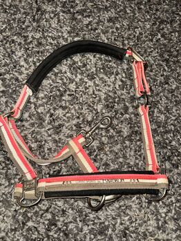 Eskadron Halfter p1, Eskadron , Corina , Halfter, Egling an der Paar