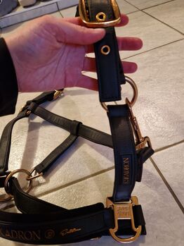 Eskadron Halfter Platinum Edition