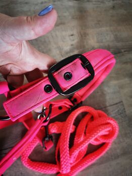 Eskadron Halfter-Set VB Cob Reflexx Pink Softshell Eskadron Softshell Halfter Reflexx Pink 