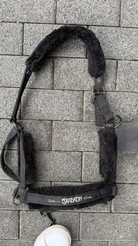 Eskadron Halfter WB Eskadron