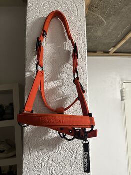 Eskadron Halfter WB Eskadron bei Interesse