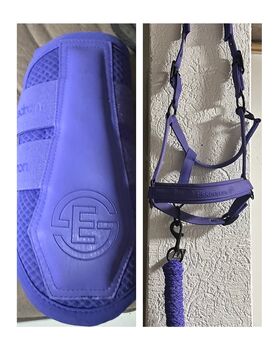 Eskadron Halfter WB, Eskadron bei Interesse, Fabienne, Halfter, Schermbeck