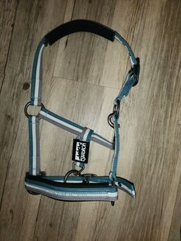 Eskadron Halfter, Lilly , Halters, Friedeburg 