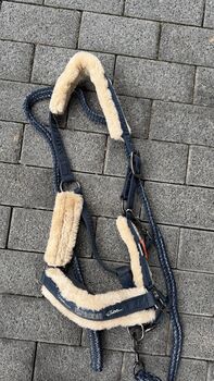 Eskadron Halfter in WB, Eskadron, Victoria , Halters, München