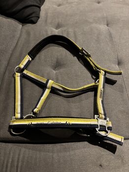 Eskadron Halfter Lime, Eskadron Lime, Denise, Halters, Nattenheim