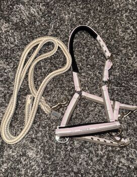 Eskadron Halfter gr. P2 Eskadron 