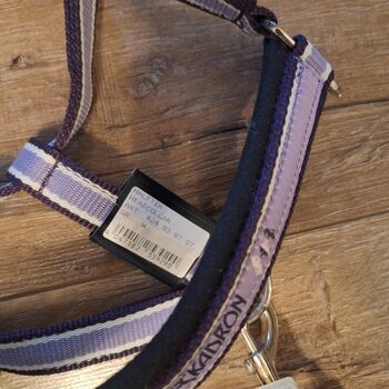 Eskadron Halfter mit Führstrick WB Violett Eskadron 