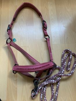 Eskadron Halfter Strick WB rouge, Eskadron , EG, Halters, Marburg