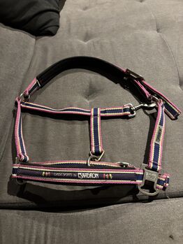 Eskadron Halfter, Eskadron  Fuchsia-Lime Limited Edition , Denise, Halters, Nattenheim