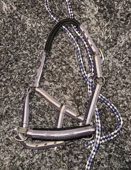 Eskadron Halfter gr. p2, Eskadron , Corina , Halters, Egling an der Paar