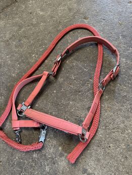 Eskadron Halfter, Eskadron, Carina Schmitz, Halters, Düren