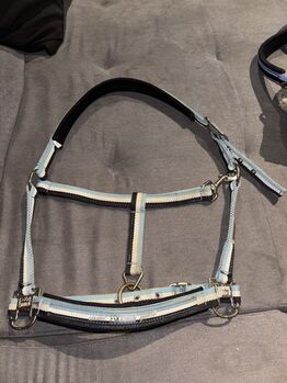 Eskadron Halfter, Eskadron, Denise, Halters, Nattenheim