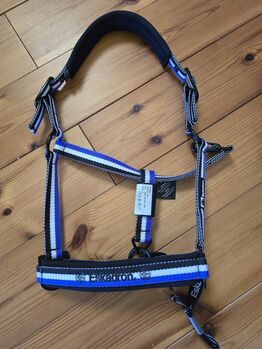 Eskadron Halfter purple Dynamic Gr. Cob, Dynamic, Pferdi, Halters, Ponitz