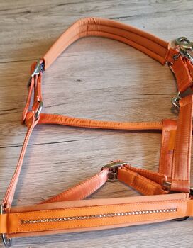 Eskadron Halfter+ Strick Classic Soft Peach, ESKADRON  Classic Sports Peach Soft, Melly, Halters, Berlin