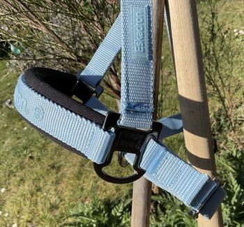 Eskadron Halfter himmelblau Größe Pony Eskadron Pony Halfter 