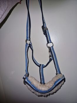 Eskadron Halfter WB, Eskadron , Julia , Halters, Ennepetal 
