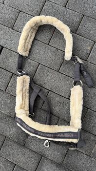 Eskadron Halfter WB Eskadron