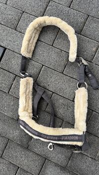 Eskadron Halfter WB, Eskadron, Victoria , Kantary, München