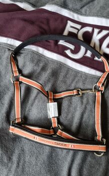 Eskadron Halfter Wb Neu apricot, Eskadron , Bettina Behrend , Halters, Neu-Eichenberg