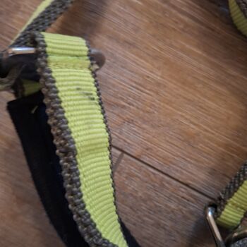 Eskadron Halfter mit Führstrick Kiwi Vollblut Eskadron 