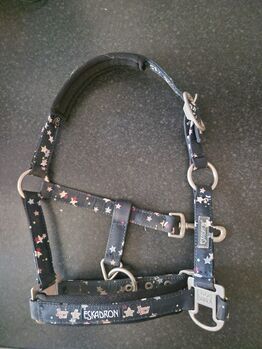 Eskadron Halfter Youngstar 2019 PI, Eskadron  Youngstar, Julia , Halters, Ennepetal 