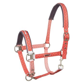 Eskadron Nici Halfter Set Neu orange Full, Eskadron Nici Halfter und Strick, Kerstin , Halters, Haag am Hausruck 