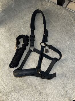 Eskadron Platinum Edition navy WB, Eskadron Platinum Edition, Franzi Landfried, Halters, Wettenberg