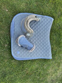 Eskadron Set Glocken Gamaschen schabracke Glitzer lila, Eskadron, Felina Schwedler, Dressage Pads, Kröppelshagen
